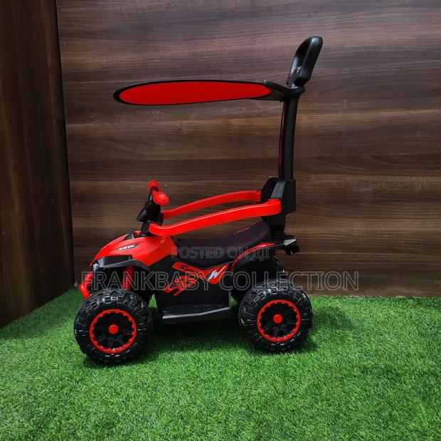 Push Handle Ride-on Car, With Sun Canopy - main view