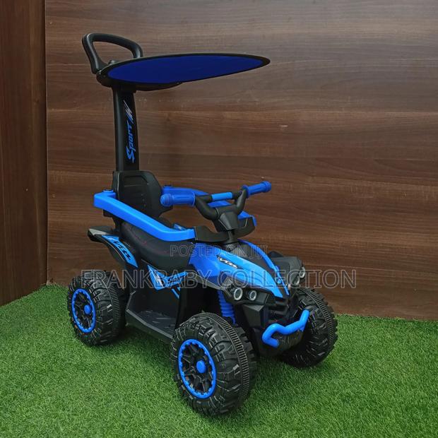 Push Handle Ride-on Car, With Sun Canopy - thumbnail 2