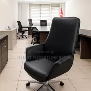 Ergonomic Director’S Office Seat