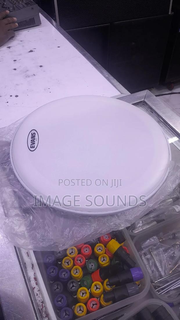 White Coated Snared Skin for Jazz Brush