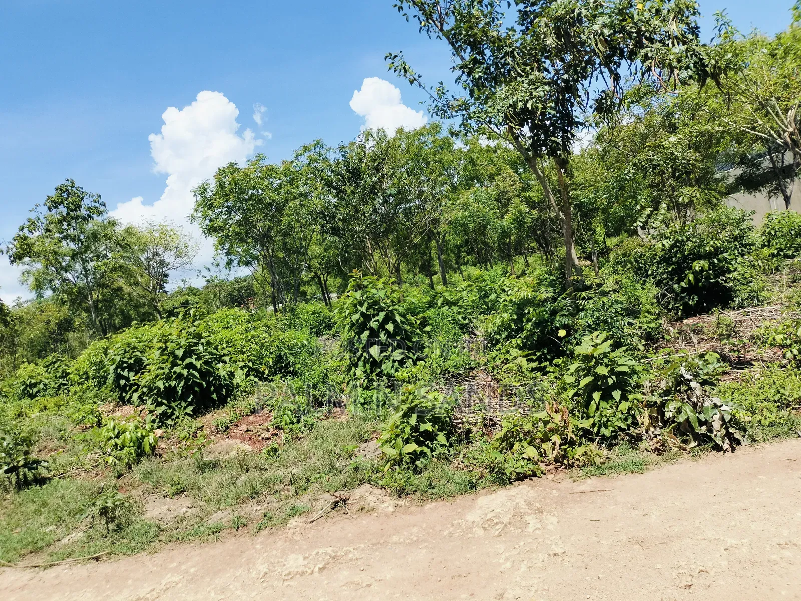 Half Acre Prime Plot Near Villa Mandhari Diani!! At
