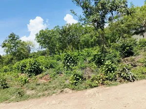 Half Acre Prime Plot Near Villa Mandhari Diani!! At