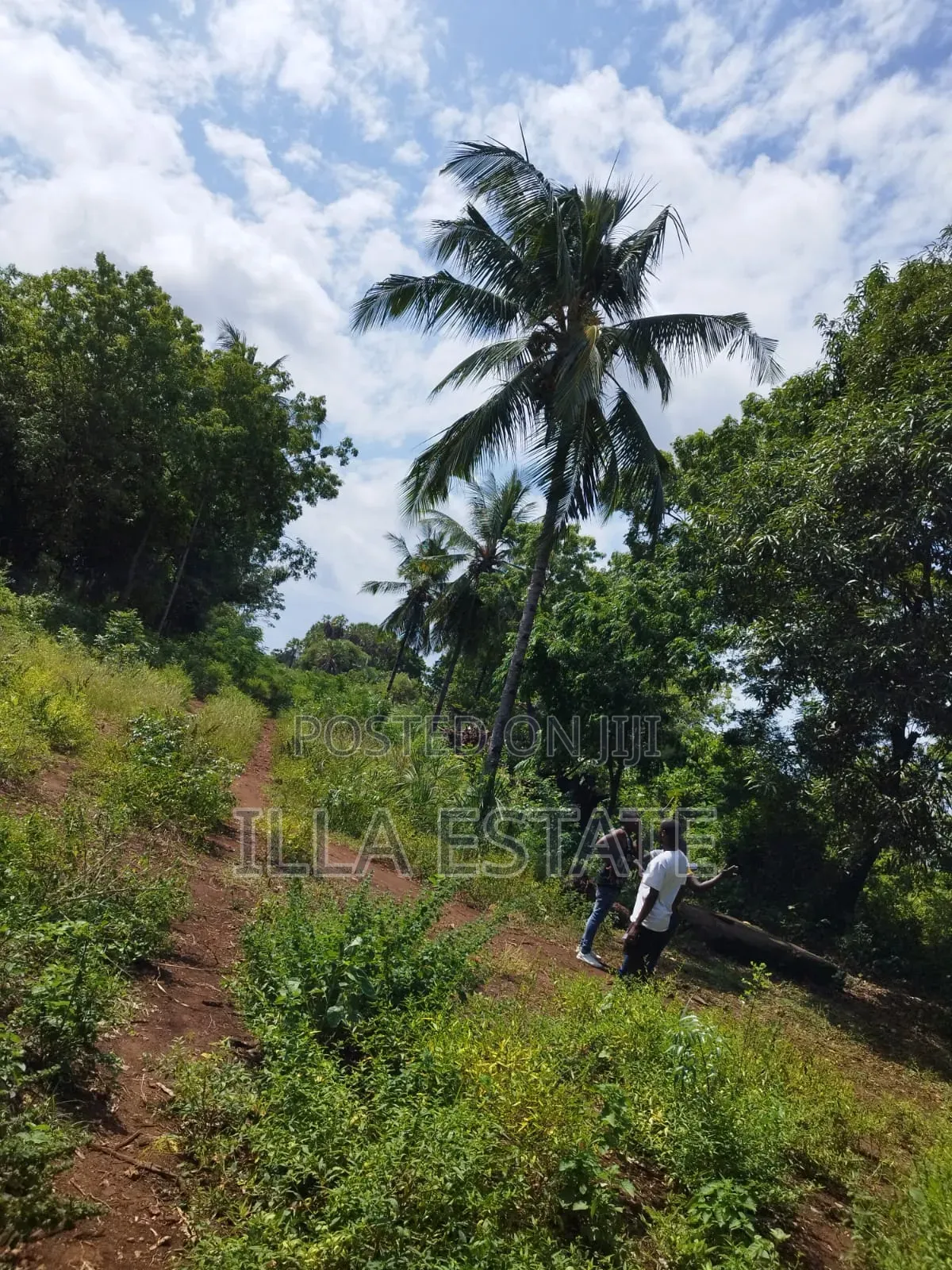 Development Opportunity in Diani