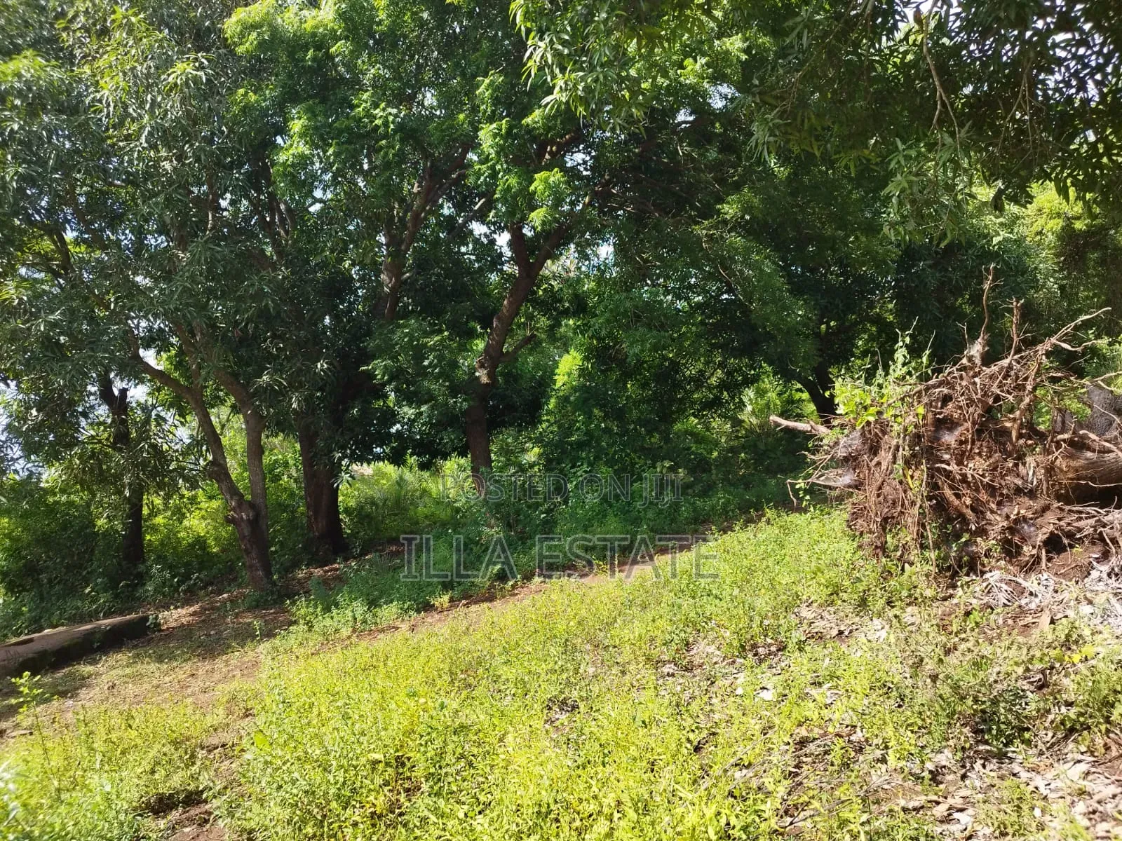 Development Opportunity in Diani
