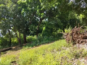 Development Opportunity in Diani