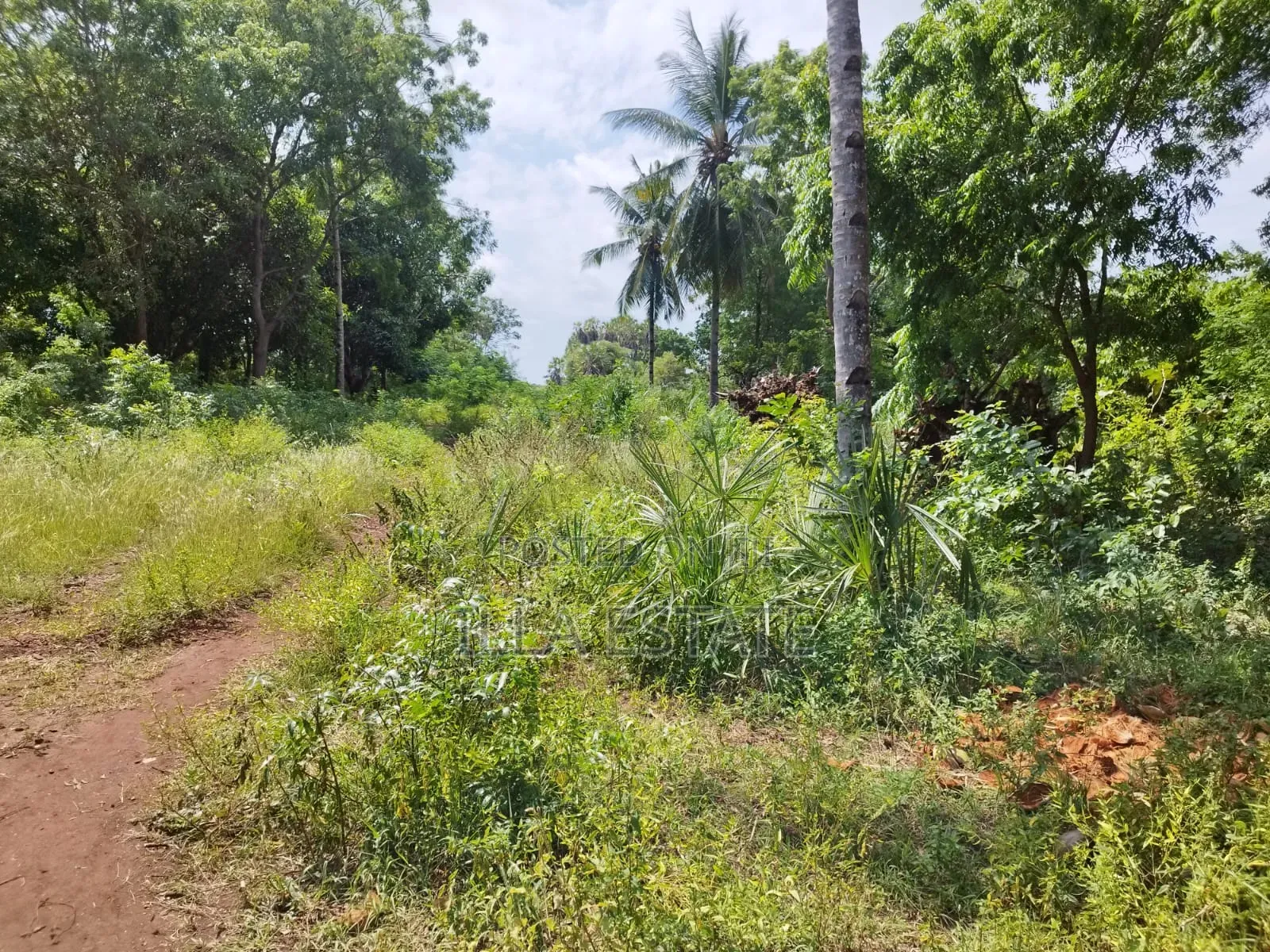 Development Opportunity in Diani