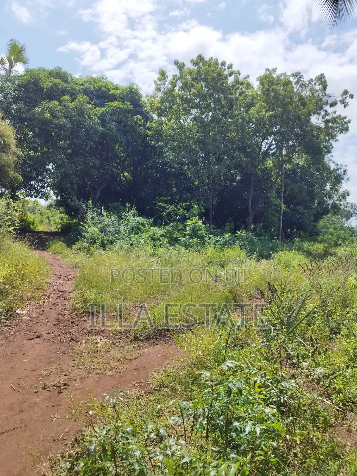 Development Opportunity in Diani