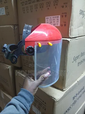 Designer Face Shield