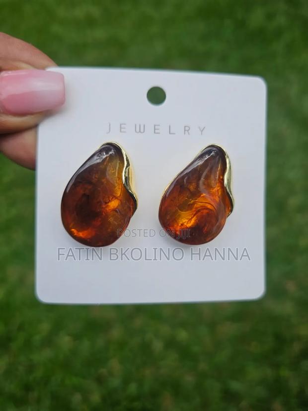 Brown Cute Earrings - main view