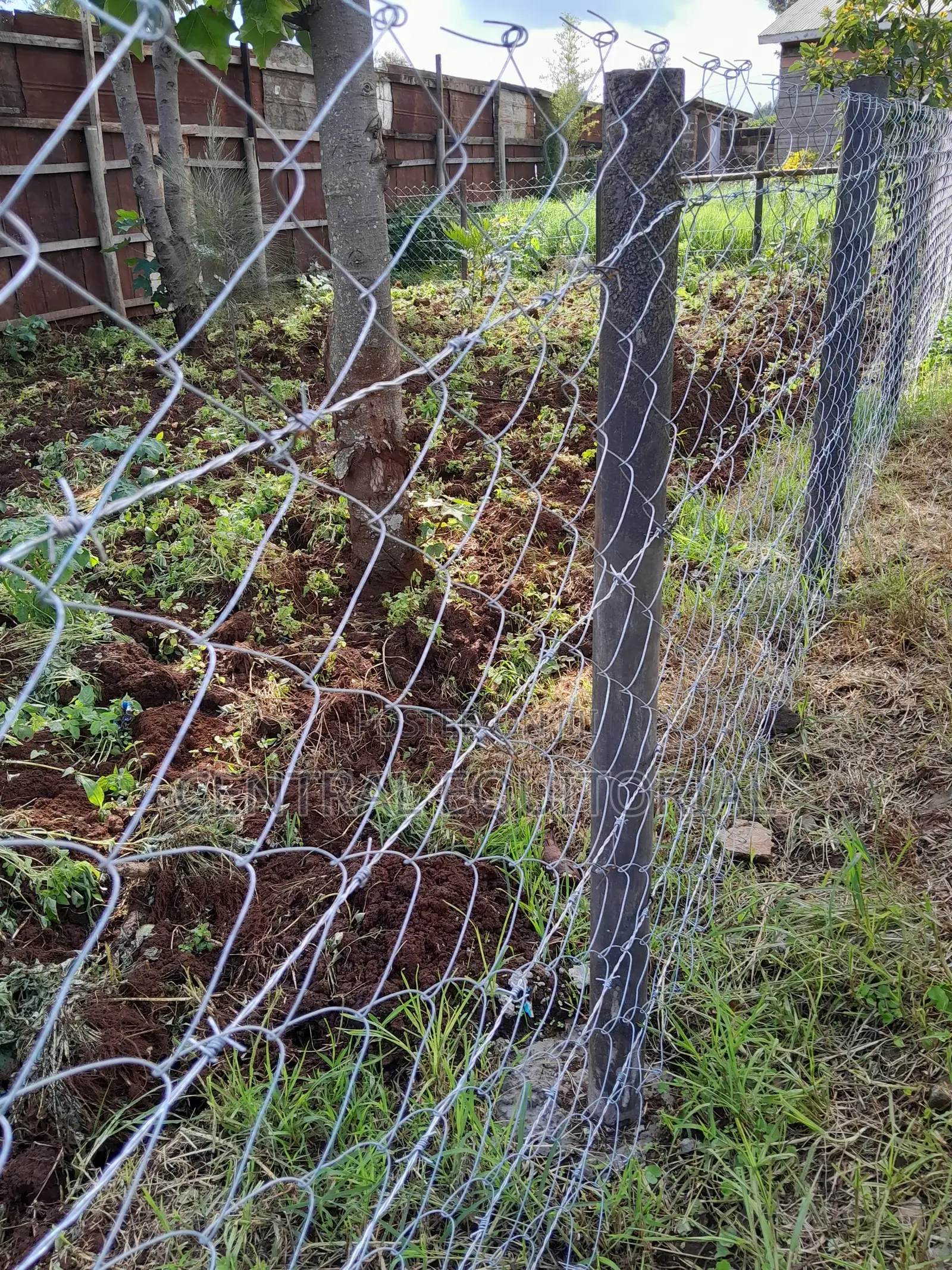 Plastic Fencing Posts