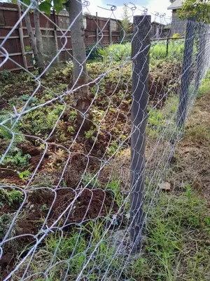 Plastic Fencing Posts