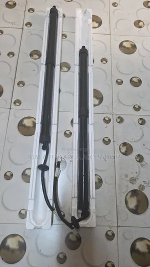 Electric Boot Shock Harrier