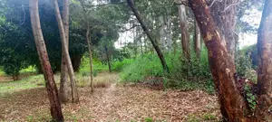 10 Acres for Sale in Karen