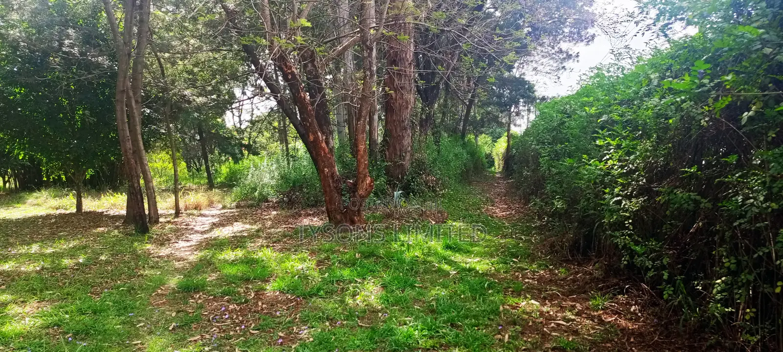 10 Acres for Sale in Karen