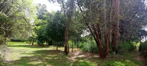 10 Acres for Sale in Karen