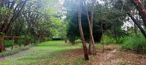 10 Acres for Sale in Karen