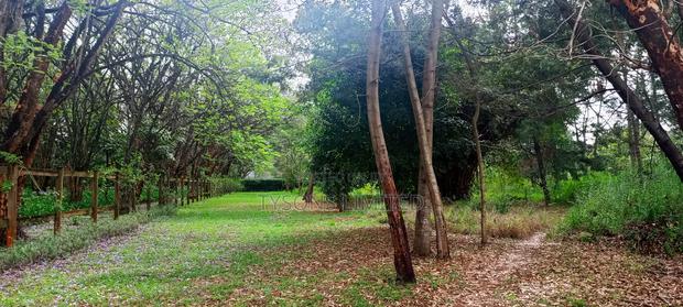10 Acres for Sale in Karen - thumbnail 2