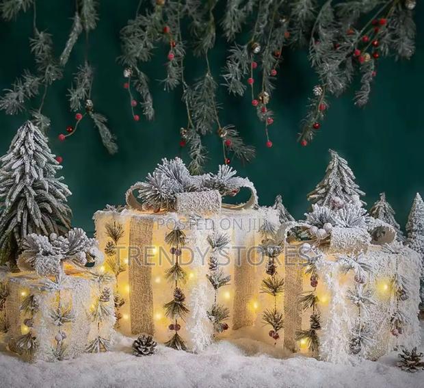 Snow Flocked Lighted Gift Boxes - main view