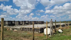 Prime Affordable Plots for Sale in Kitengela Lenchani