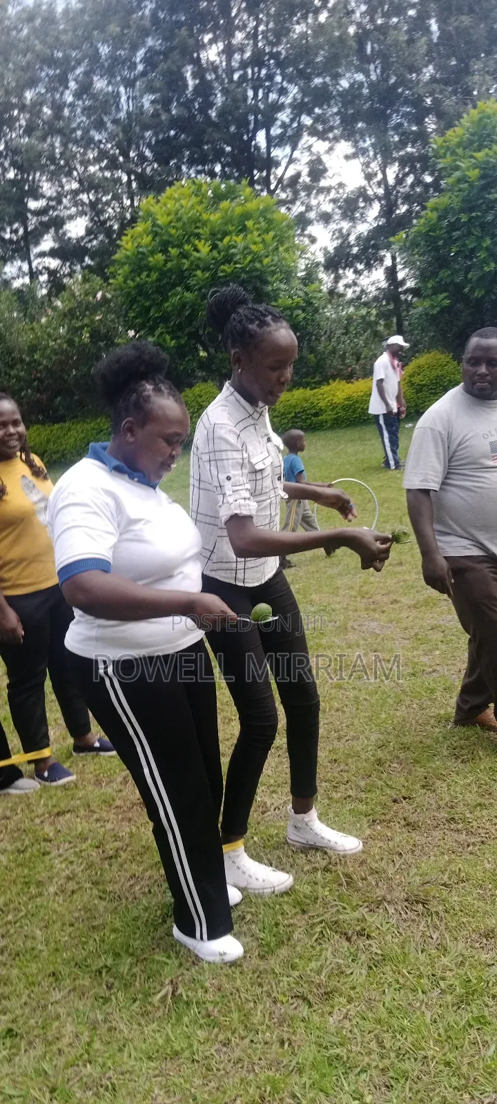 Team Building Facilitation