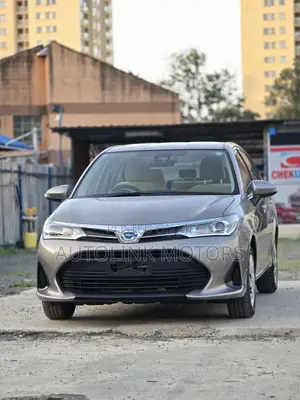 Toyota Axio 1.5 Hybrid 2WD 2018 Gray