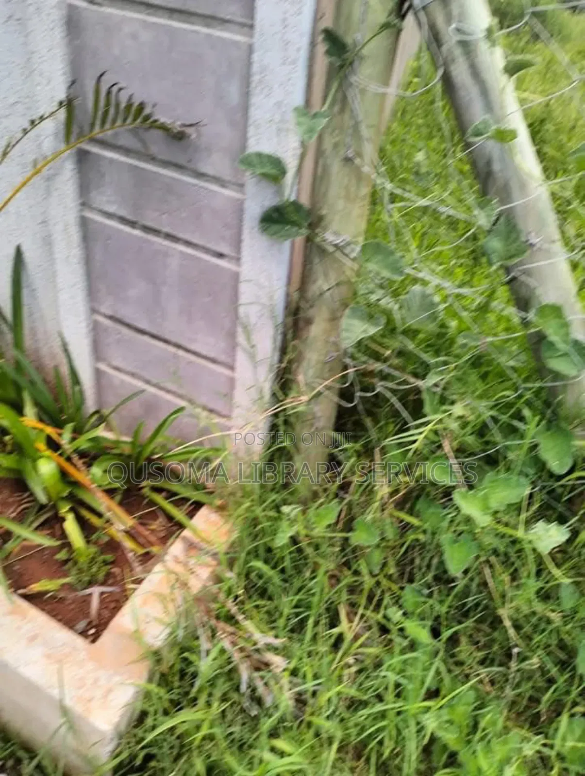 Prime 50x100 – Kitengela’S Hottest Development Opportunity!