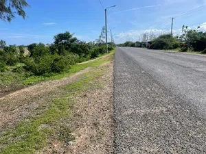 Half an Acre in Watamu