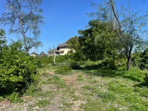 Half an Acre in Watamu