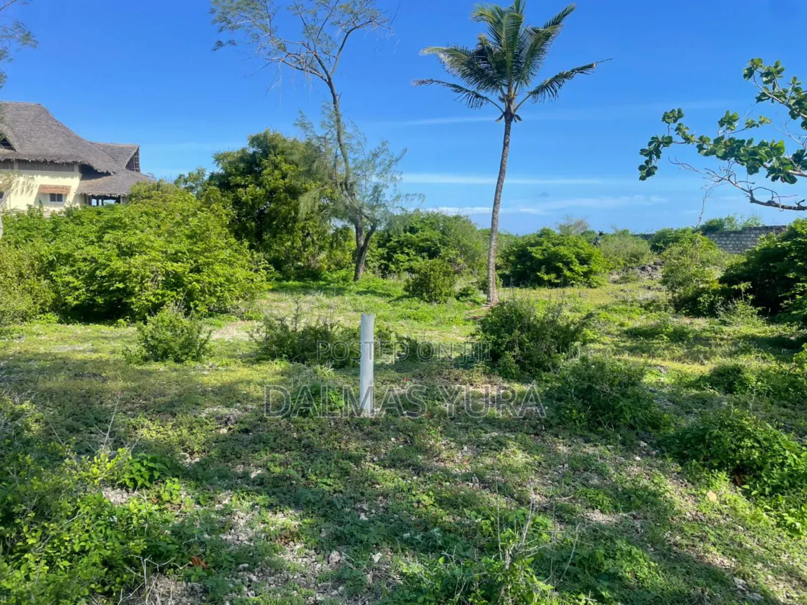 Half an Acre in Watamu