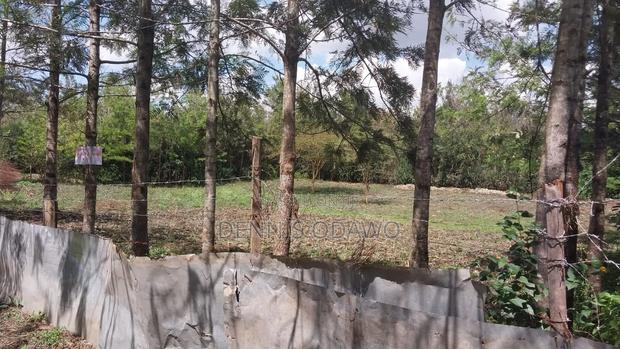 Half Acre Land - main view