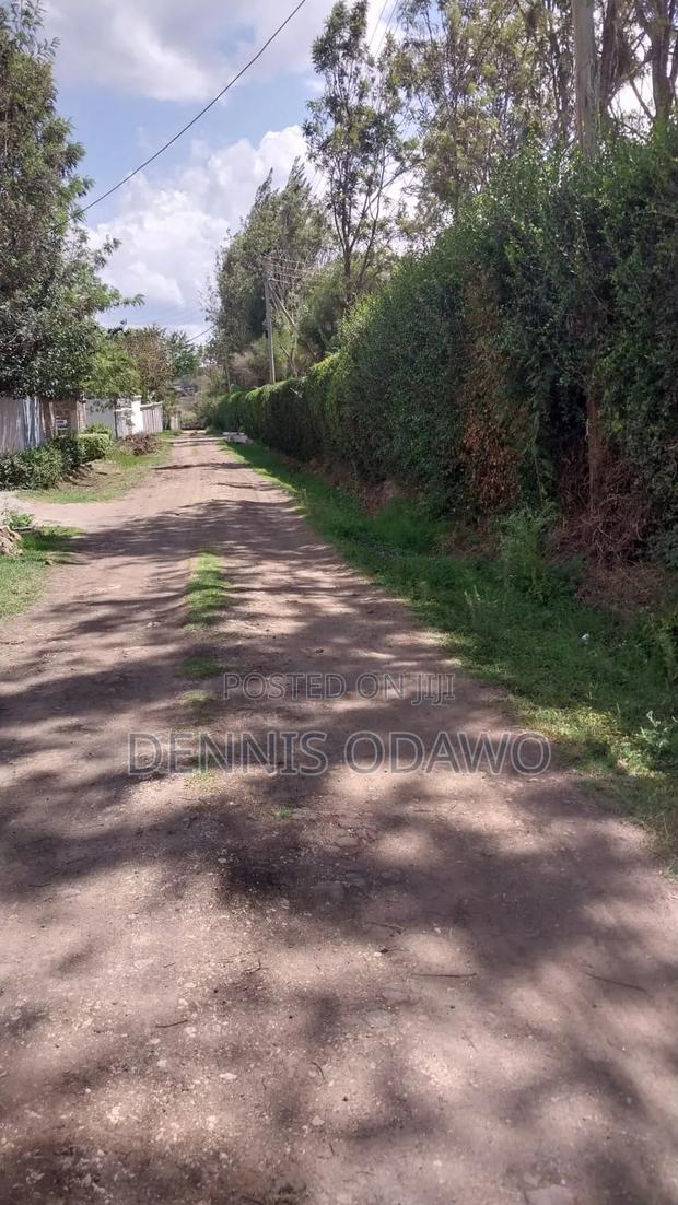 Half Acre Land - thumbnail 2