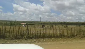 Distress Sale – 6.8 Acres at KSH 1m Per Acre (Final!)
