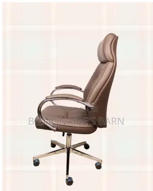 Stylish Imported Lumbar | Support | Order Yours Today