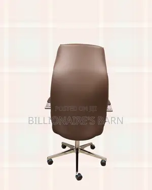 Stylish Imported Lumbar | Support | Order Yours Today