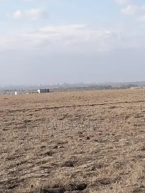 Distress Cash Sale – 5, 10 Acres With Epic Views Tuala Kyumvi-Rongai