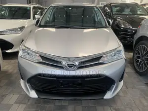 Toyota Axio 1.5 G 4WD 2017 Silver