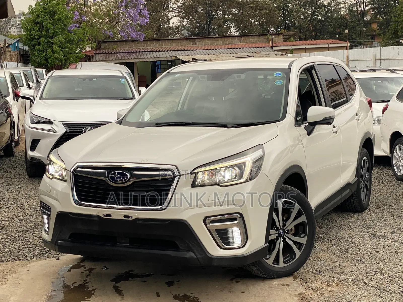 Subaru Forester 2019 White