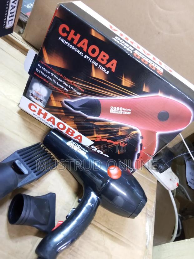 Chaoba Professional Hair Dryer - main view