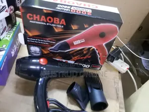 Powerful and Professional Hair Dryer