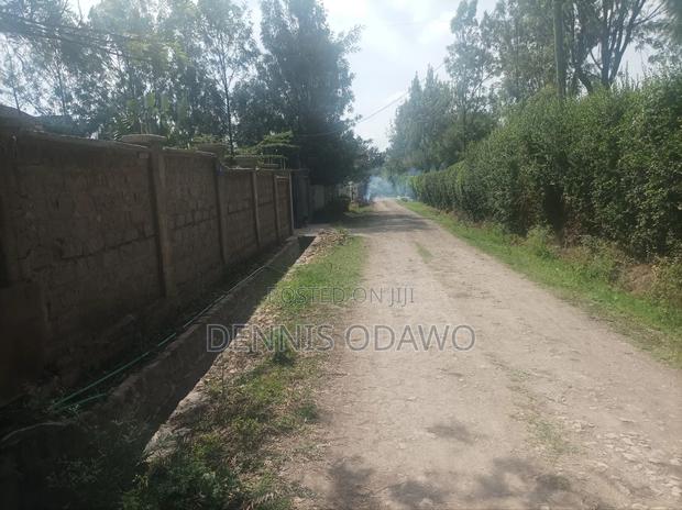 Half Acre Land - thumbnail 3