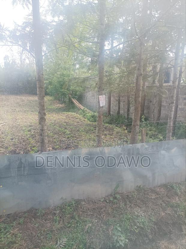 Half Acre Land - thumbnail 4