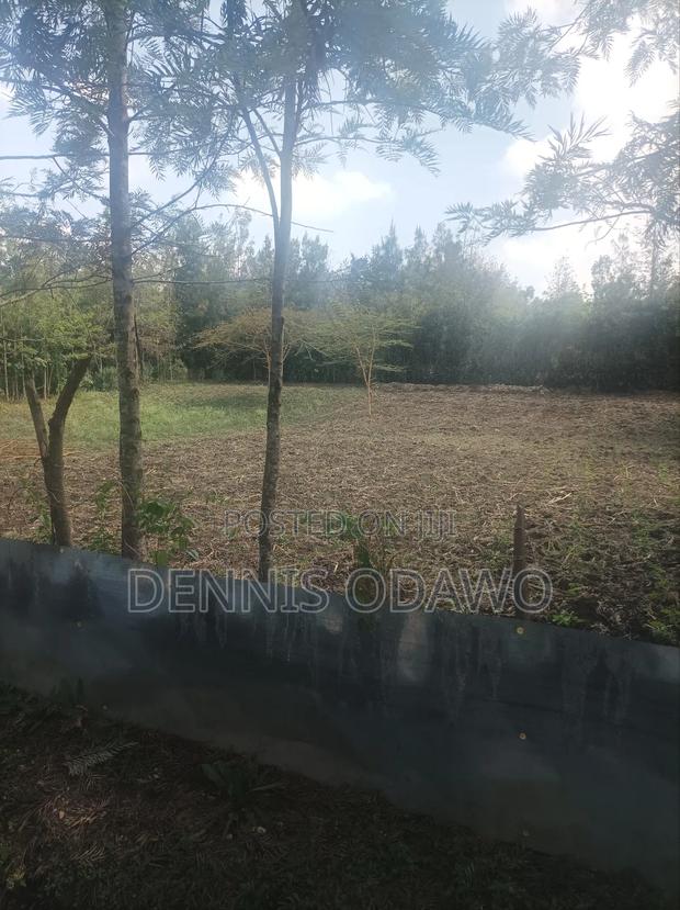 Half Acre Land - thumbnail 5