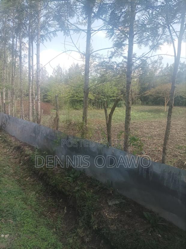 Half Acre Land - thumbnail 6