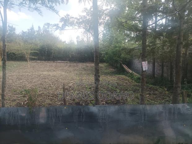 Half Acre Land - thumbnail 7