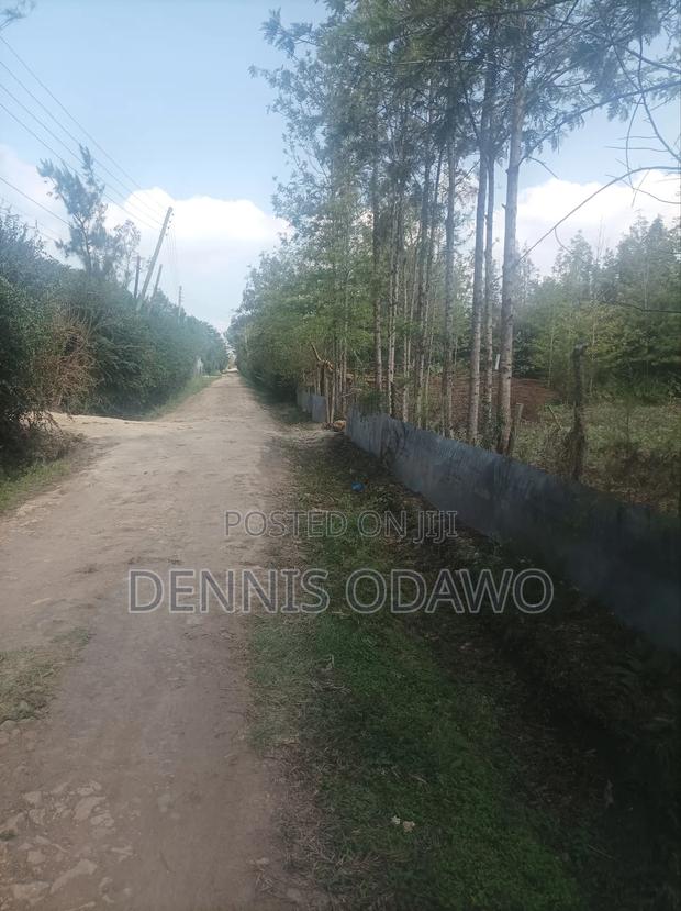 Half Acre Land - thumbnail 8