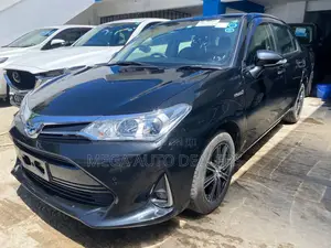Toyota Corolla Fielder 2018 Black