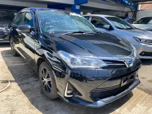 Toyota Corolla Fielder 2018 Black