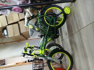 Luta Kids Bicycle 16 Inch – Green Bike With Training Wheels