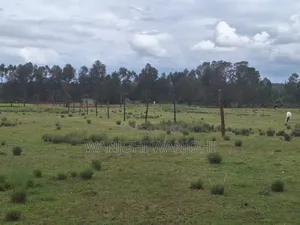 Leshau, Nyahururu Prime Plots