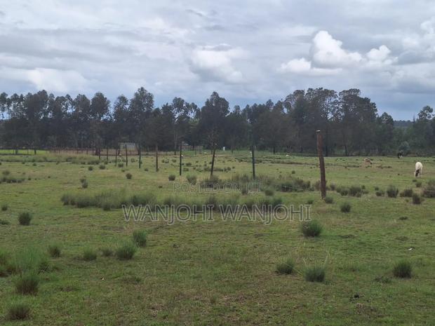 Leshau, Nyahururu Prime Plots - thumbnail 3